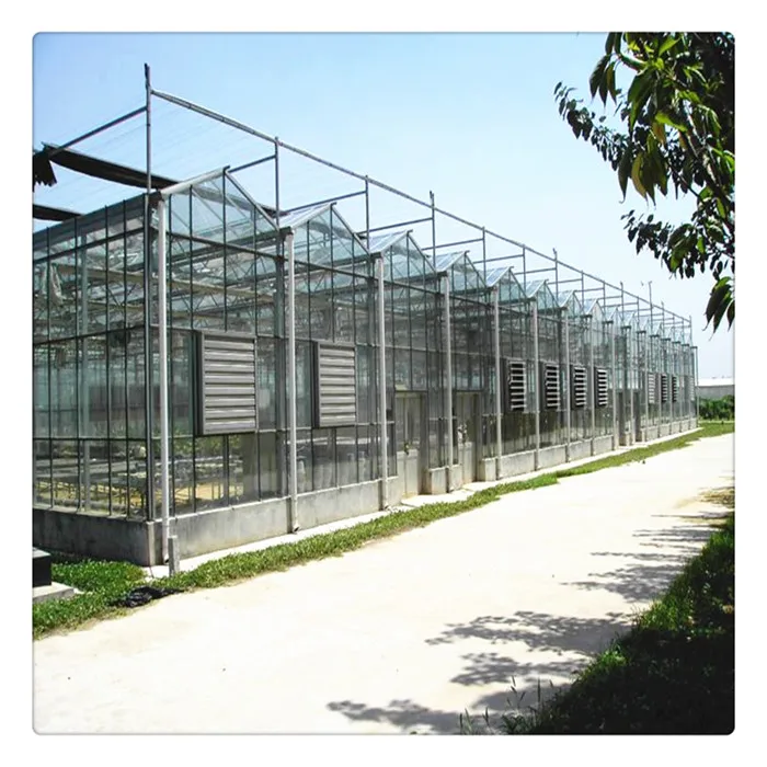 
Ecnomic simple structure velno green house agricultural steel green house 
