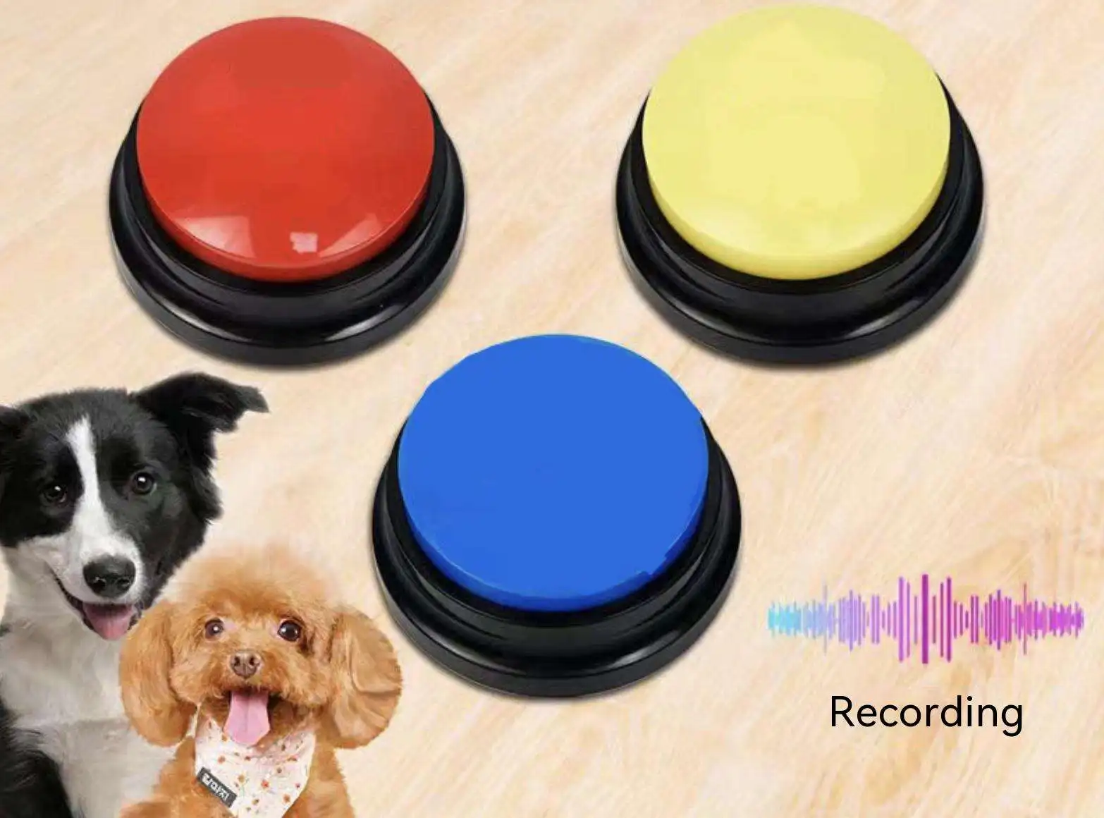 interactive pet toy (6).jpg