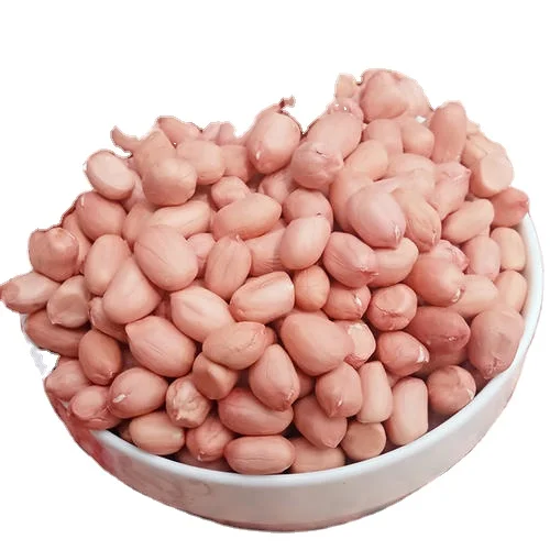 Chinese High Grade Raw Peanut Kernels Long and Round Shape