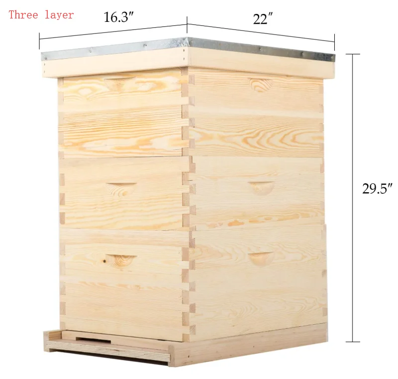 2024 new Beekeeping equipment wood beehive 10 frames 8 frame for langstroth bee hive