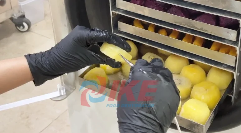 Home Use Freeze Drying fruits and vegetables Food Dehydrator  Vacuum Freeze Dryer Machine