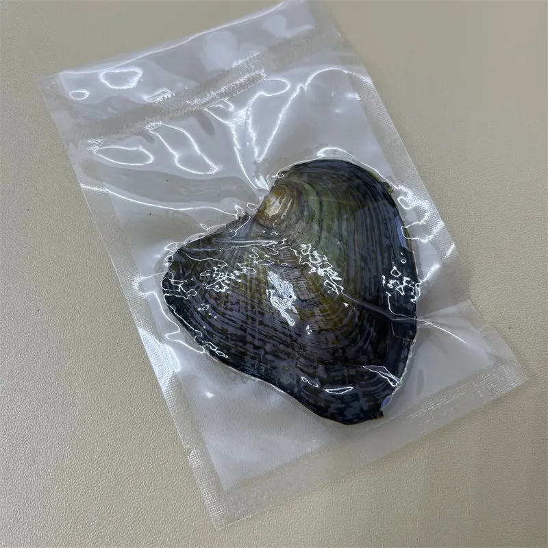 Wholesale natural Freshwater real fresh cultured oyster pearl