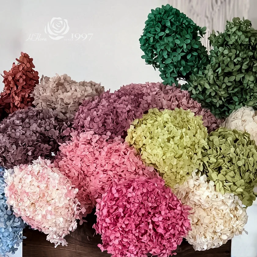 Hflora Factory Purple Pink Preserved Hydrangeas Flowers Wholesale Dried Hydrangeas preserved big leaf hydrangeas
