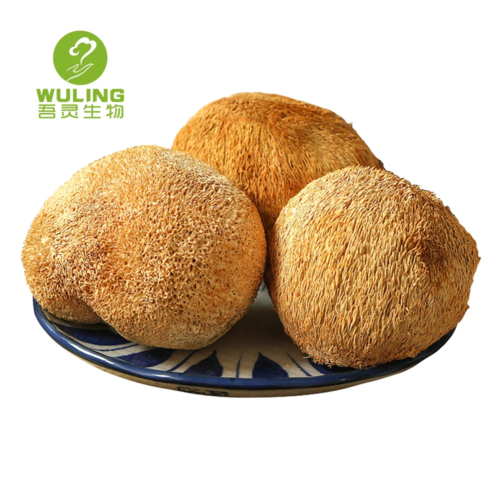 Травяные добавки, экстракт грибов Львиной гривы, порошок, Органическая жидкость грибов Львиной гривы