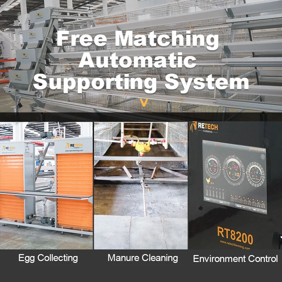 Hot sale layers poultry chicken feeding cages system poultry equipment