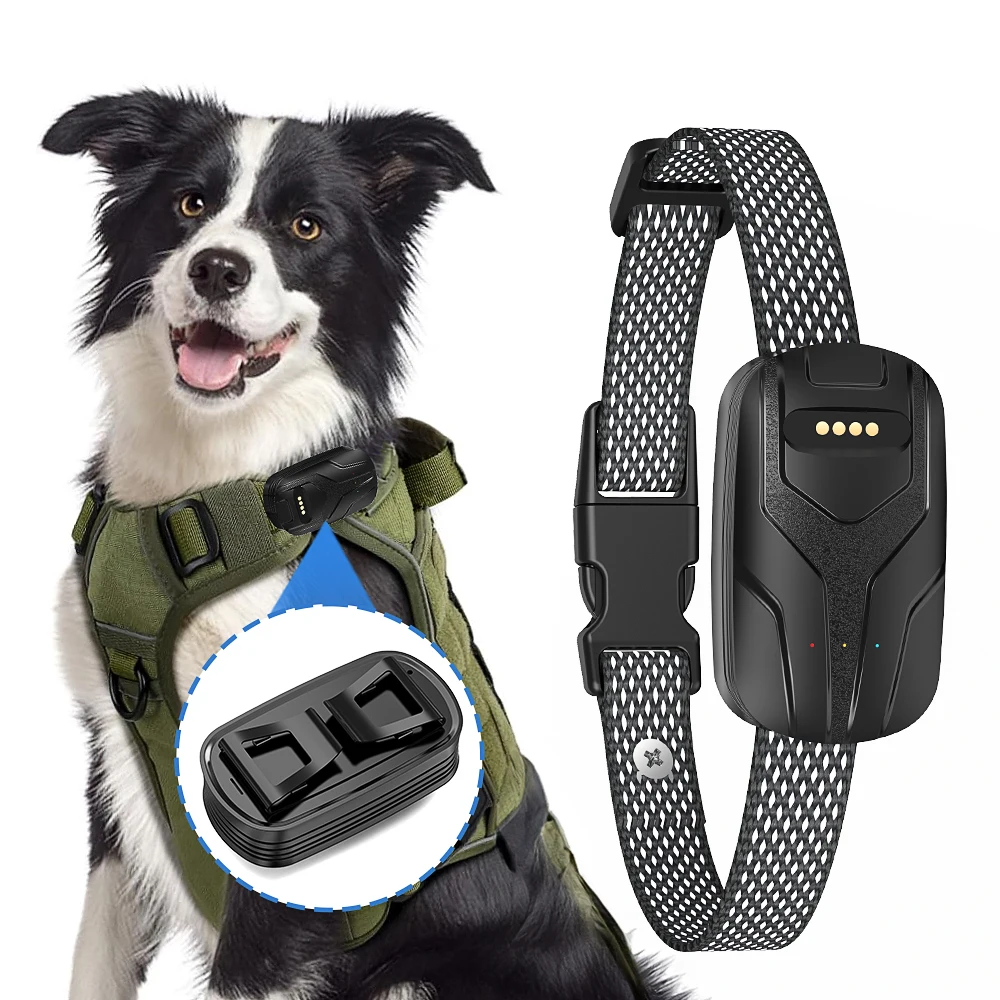 Portable Small Pet Real Time Location Tracking Device Smart 4G Pet GPS Location Tracker Collar With Nano SIM Card Voice Calls