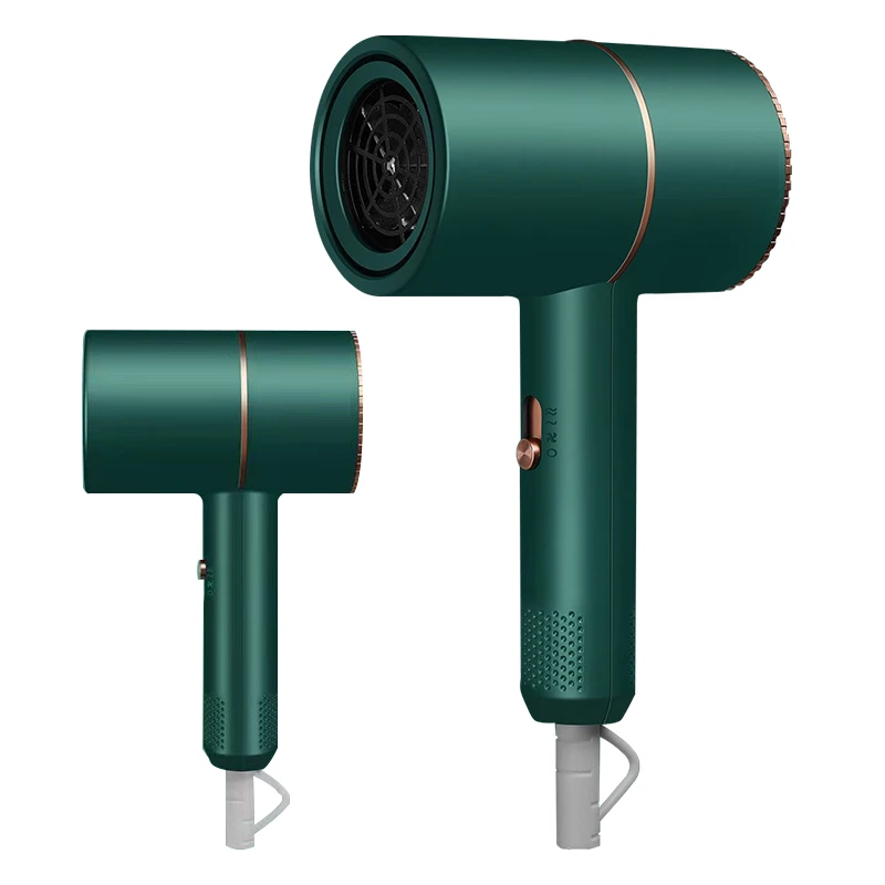 Hot Selling Customized Negative Ion Hair Care Professional Quick Dry Diffuser Hairdryer For Curly Hair