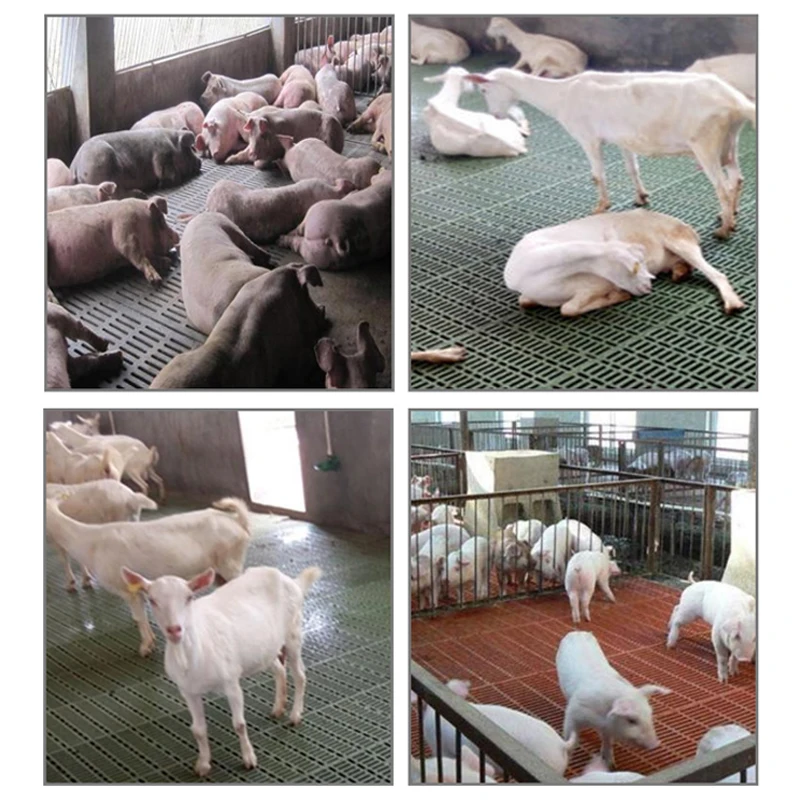 Factory outlet pig farming equipment pig farrowing crate plastic slat floor