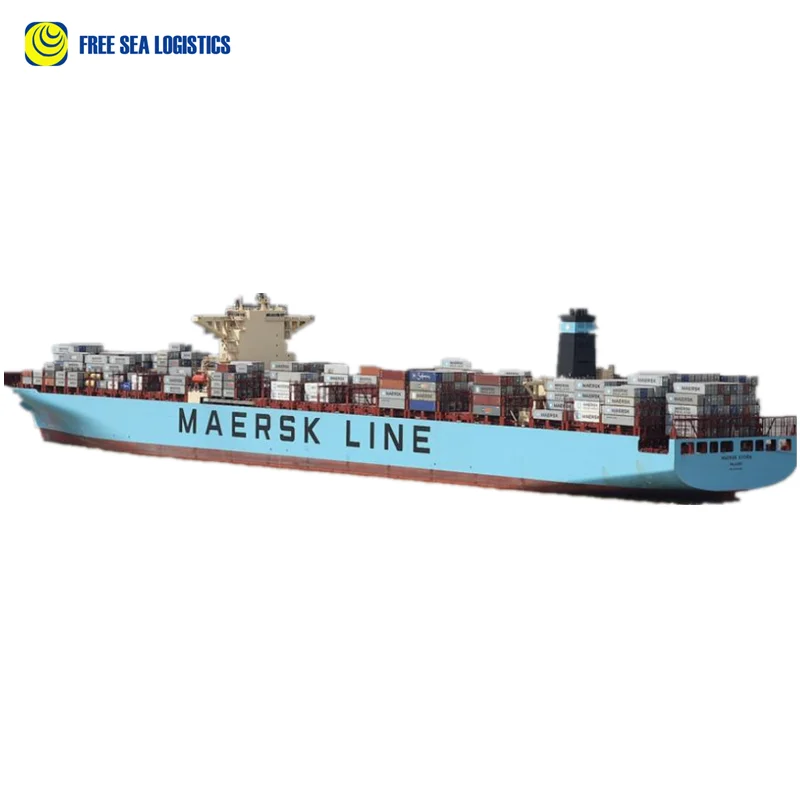 Недорогая Морская перевозка FCL/ LCL из Китая во Францию транспортной компанией