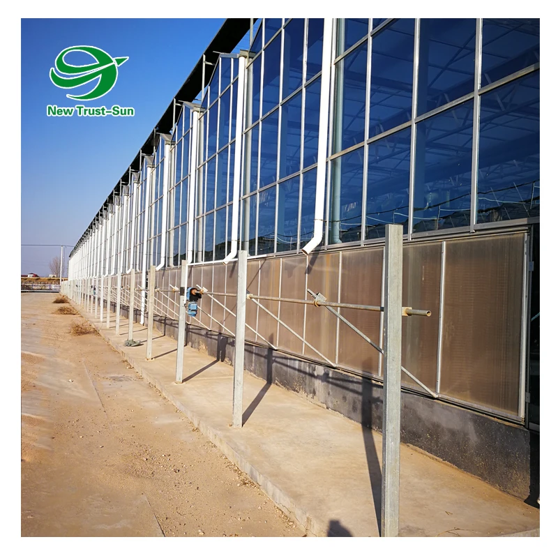 
custom size agricultural grow hydroponics system tomato glass greenhouse 