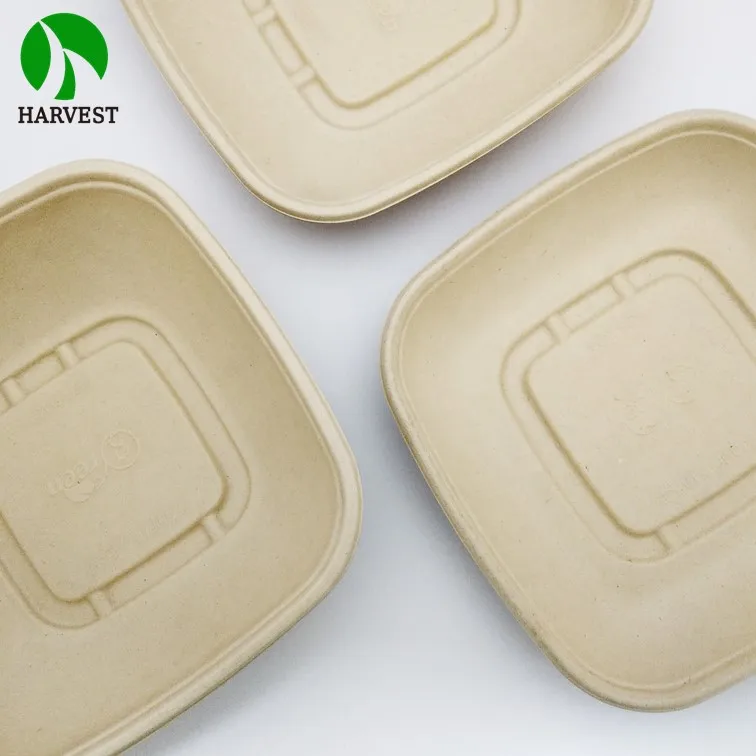 Disposable Bagasse Biodegradable Takeaway Compostable Container Paper Food Packaging