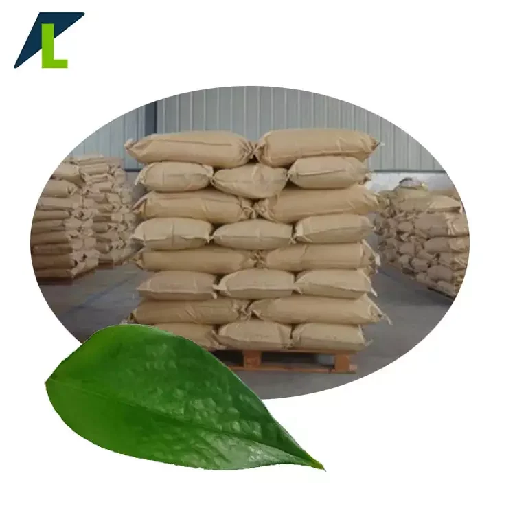 Factory Price Polyvinyl Acetate Resins 9003-20-7