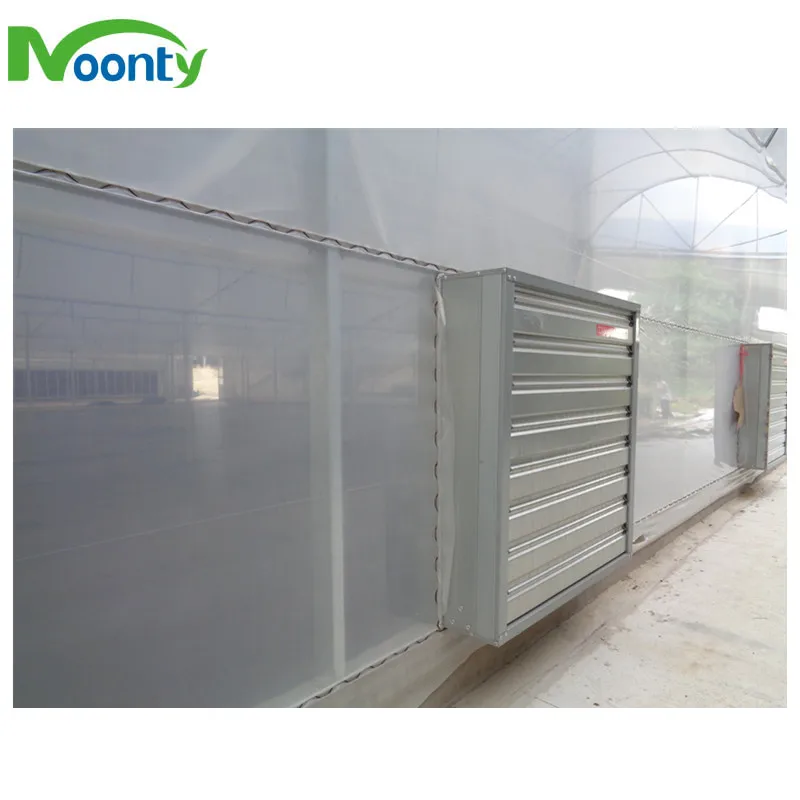 Agricultural Equipment Greenhouses With Hydroponics System