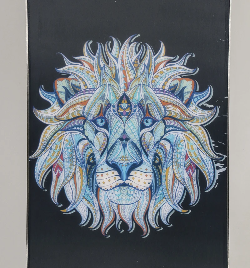 professional Various sizes snowboard  board factory snowboards snowboard sintered base skiing board