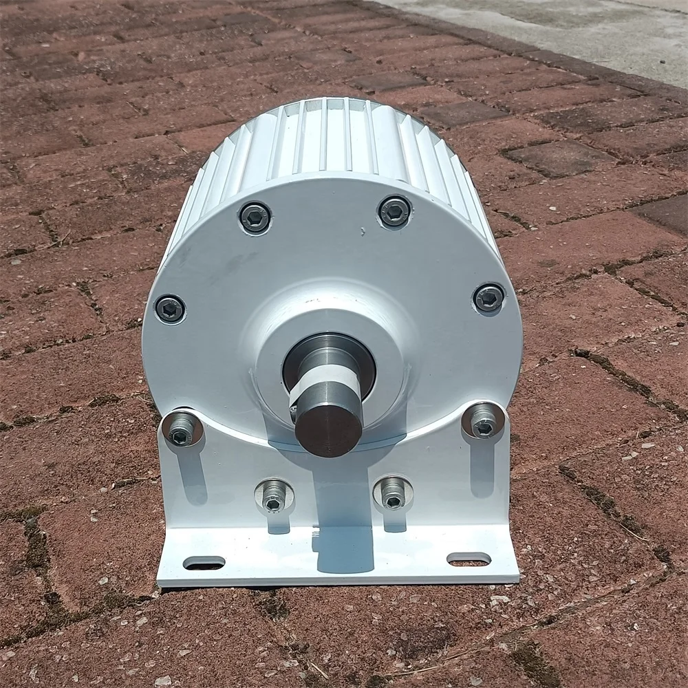 Overseas Warehouse Single Shaft 800W/1KW Free Alternative Energy with Excellent Quality Alternator Generator