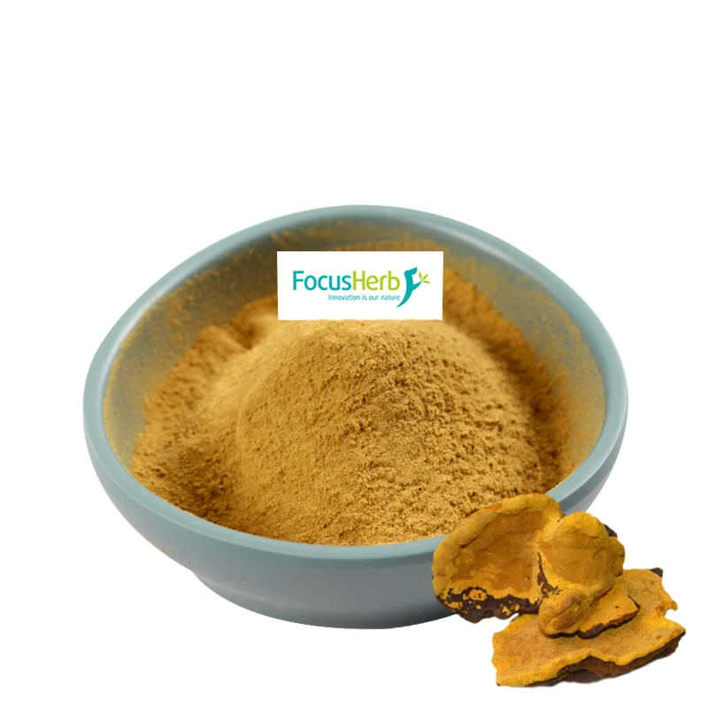 
FocusHerb Natural Phellinus Linteus Mushroom Powder 
