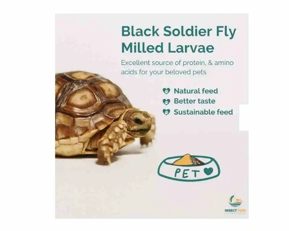 100% Natural Processed Milled Larvae Black Soldier Fly Insect Meal 500g for Professional Breeding of Pets