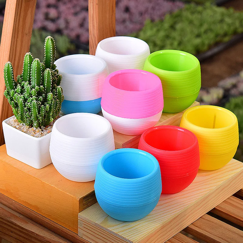 Various sizes of succulent plants small flower mini stone ball pp resin plastic rainbow pot flower