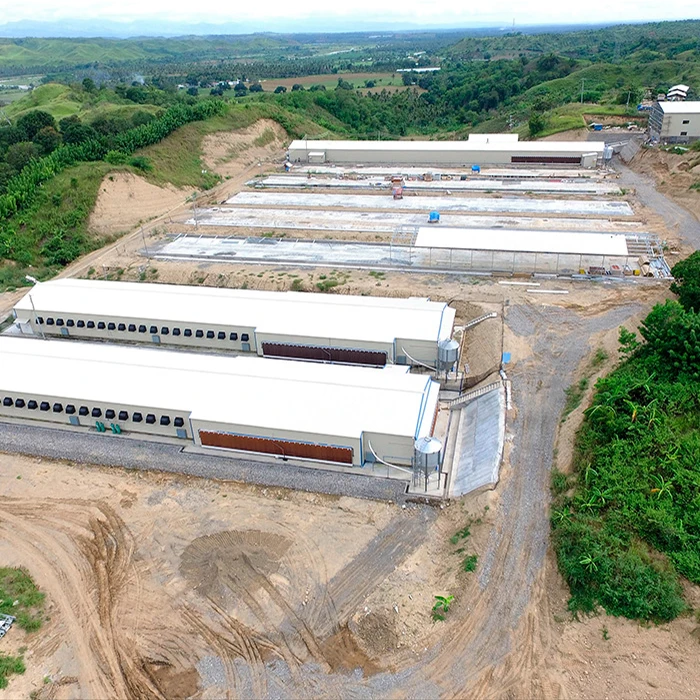 Inflatable Cow Bounce House Chicken Coop Hen Wooden