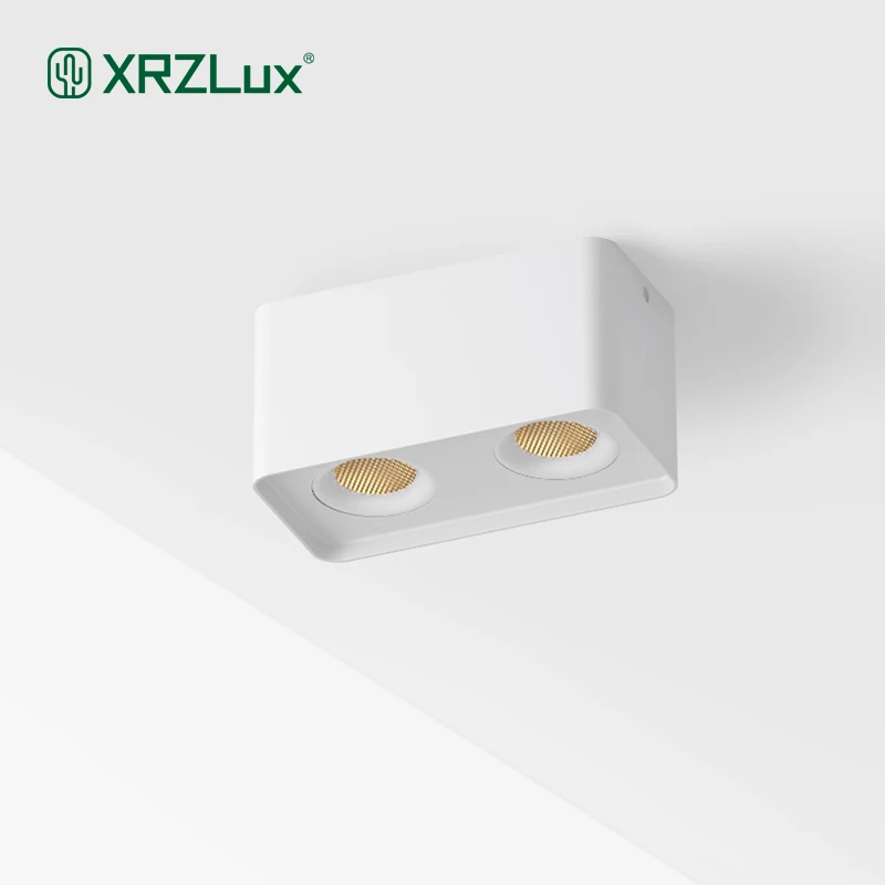 XRZLux Double Head Square Surface Mounted LED Cob Downlight 10W LED Ceiling Spot Light Aluminum Anti-glare Ceiling Lamps