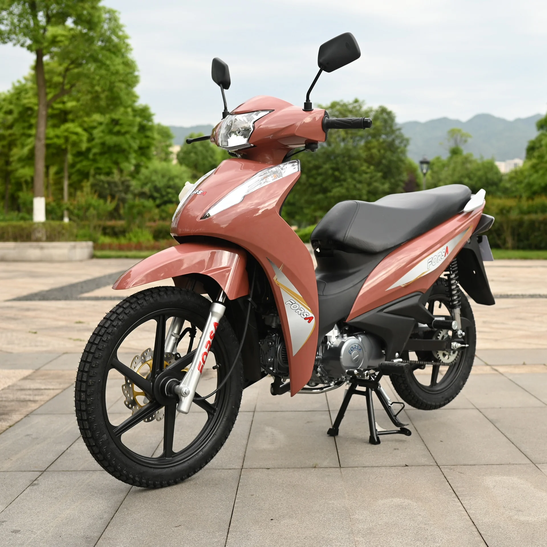 135cc Motorcycle FS135-B12 Forsa Cub Gasoline Motorcycle  China Manufacturer