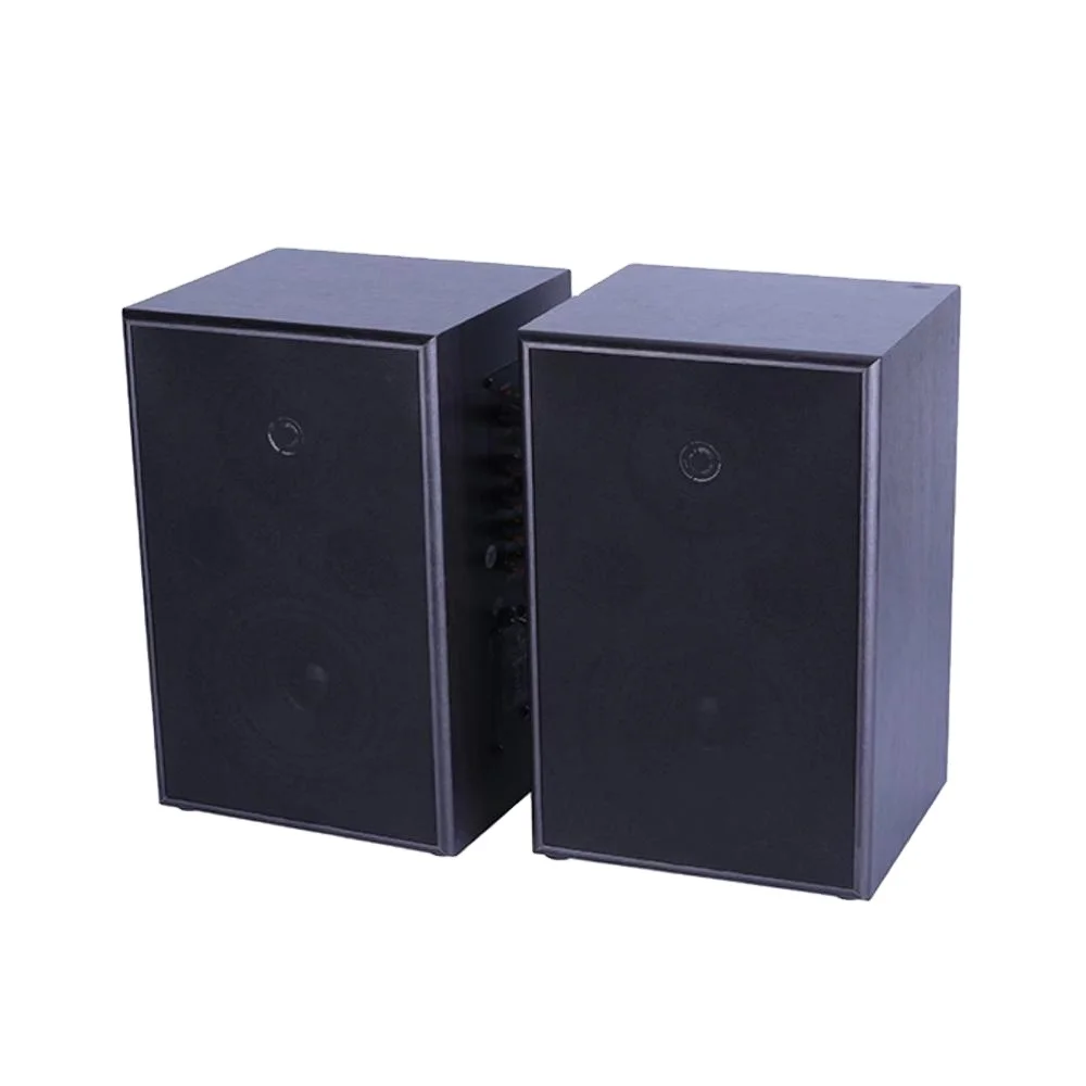 Kozoni brand professional factory 2.4G tech educational audio system speaker