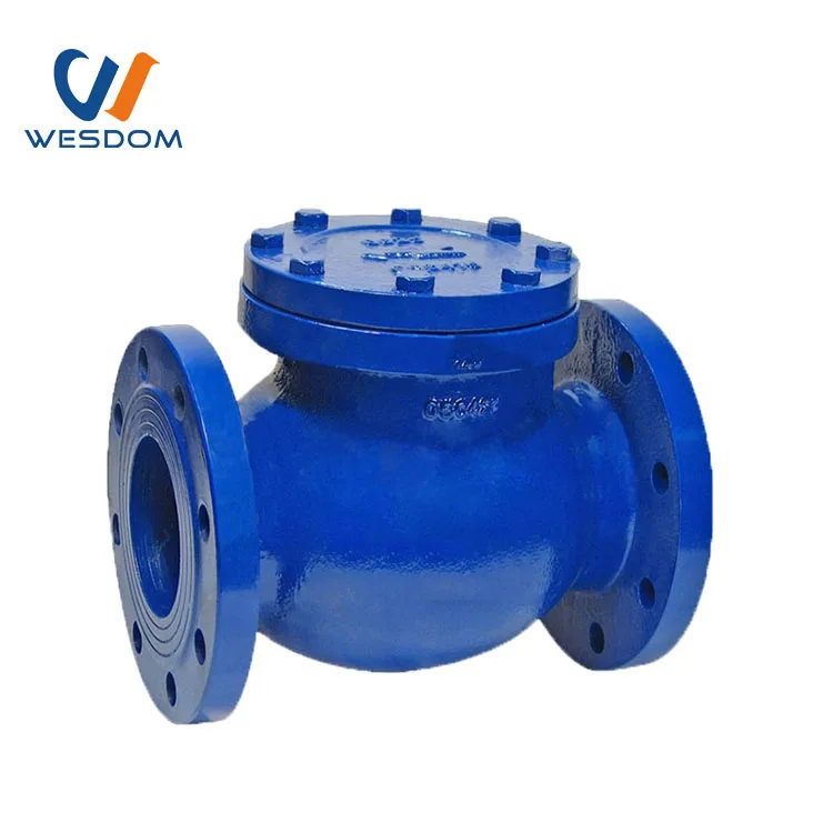 2024 Swing Check Valve Ductile Iron Cast Iron Non Return Valve NRV ball type butterfly type PN16 GGG50 DN100