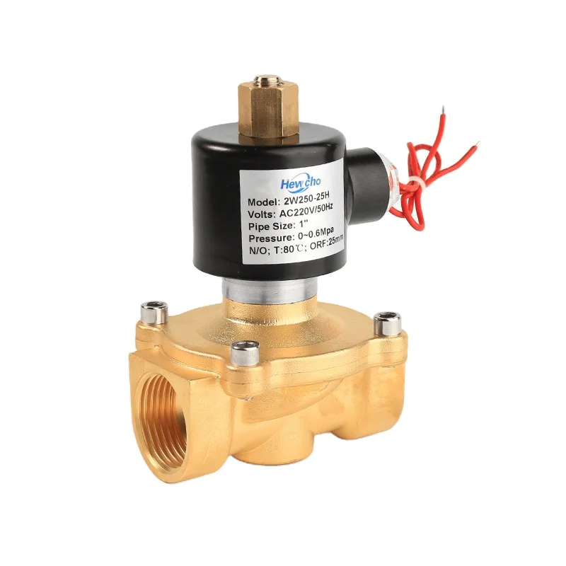 
2W250-25H 220V AC Brass Water1