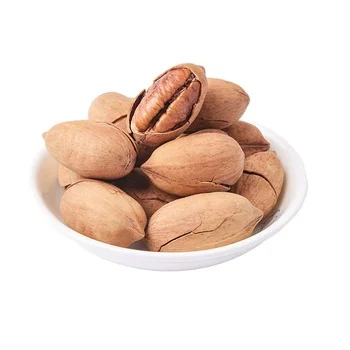 Healthy Snack Peacan Nuts Pecan in Shell and No Shell