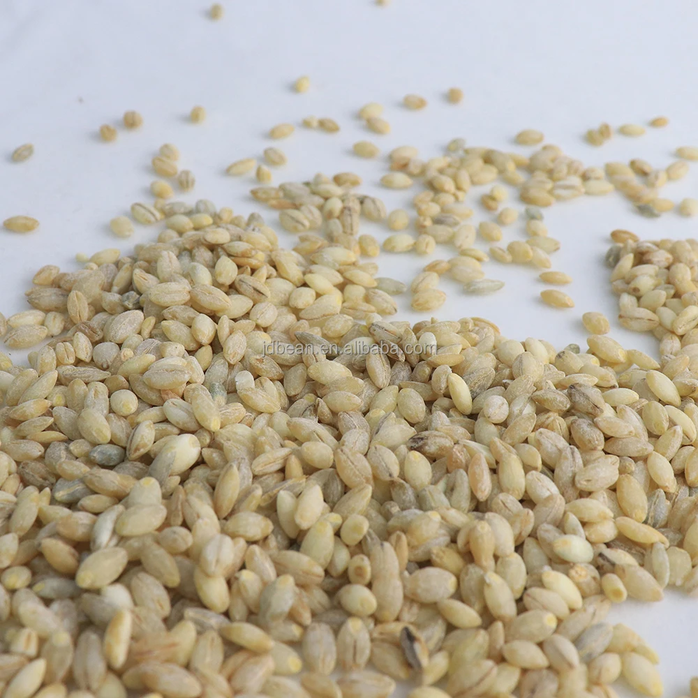 Wholesale Low Fat High Protein Qinghai Origin Qingke Hordeum Vulgare Highland Barley Green Barley Grain