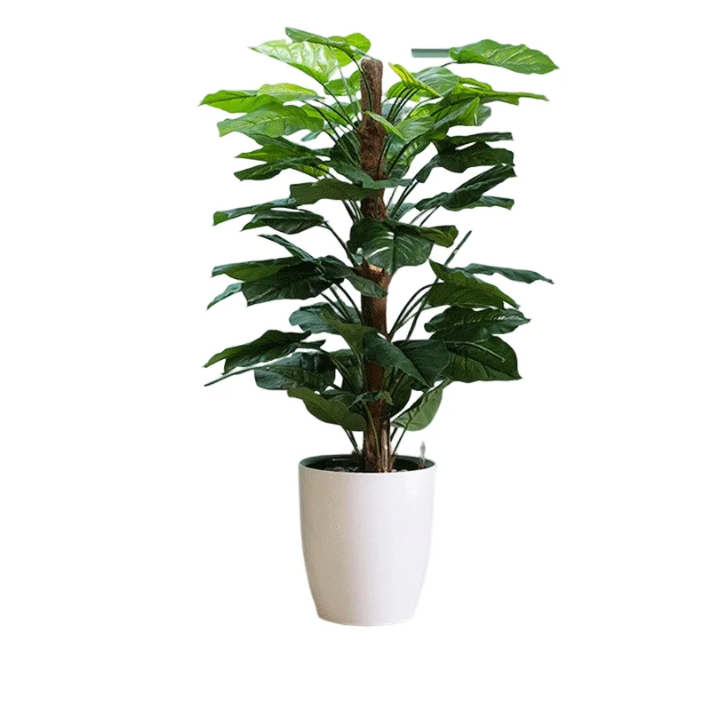 Chinese wholesale plastic flower planting round shaped pot self watering pot