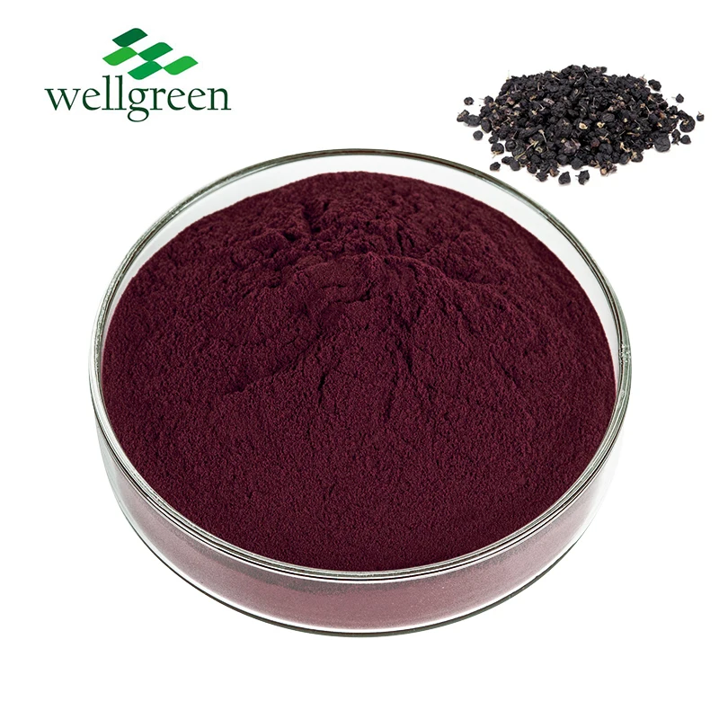 Wellgreen органический USDA черный порошок ягод годжи сублимированный Порошок Годжи