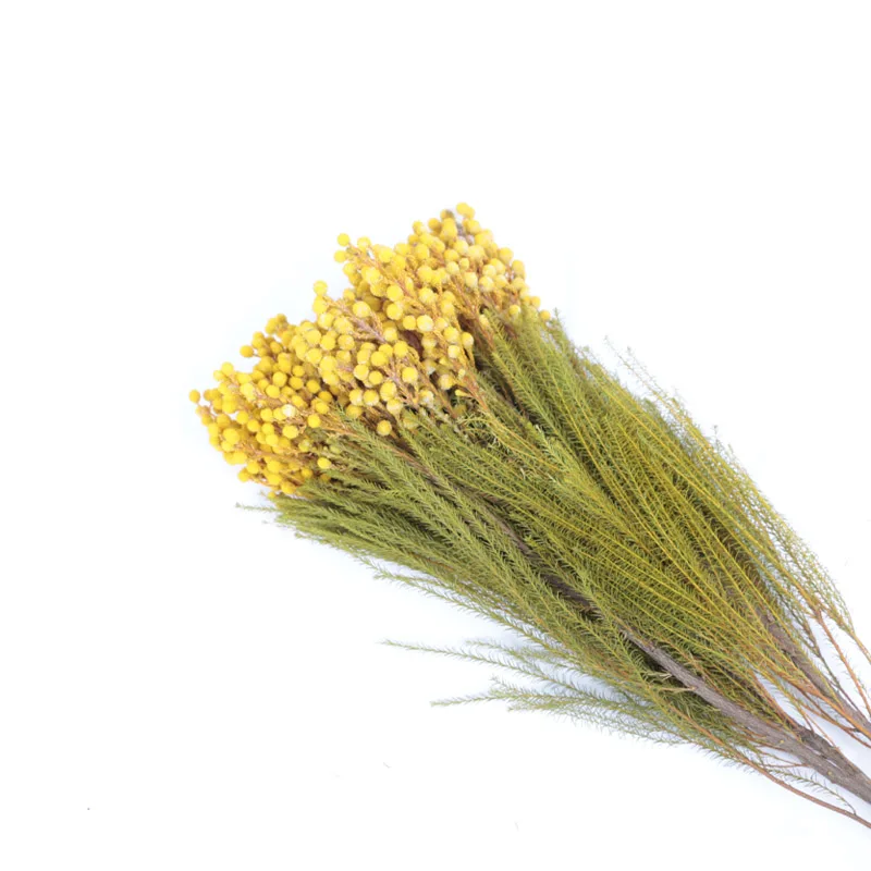 
 Оптовая продажа, Натуральные сушеные цветы, украшенные свежими натуральными консервированными коралловыми фруктами для домашнего декора  