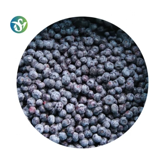 IQF Frozen Blueberry  Wholesale Frozen Fruits Frozen Blueberries