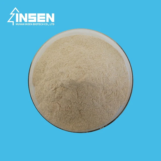 Insen Offer Favorable Price Serrapeptase Enzyme
