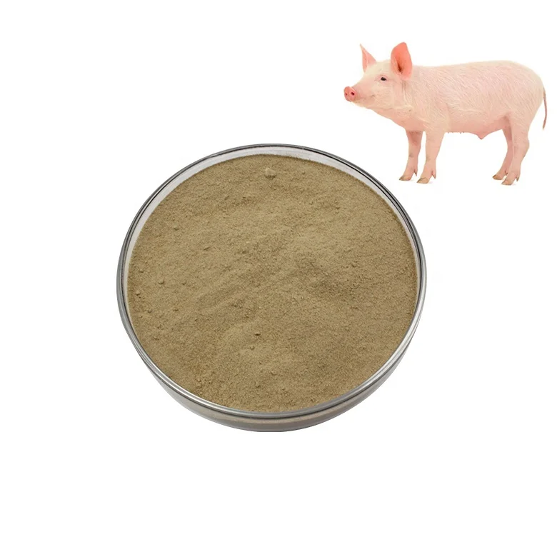 Professional Supply Freeze-Dried To Make PH Balance Lichen Bacillus Probiotic Powder