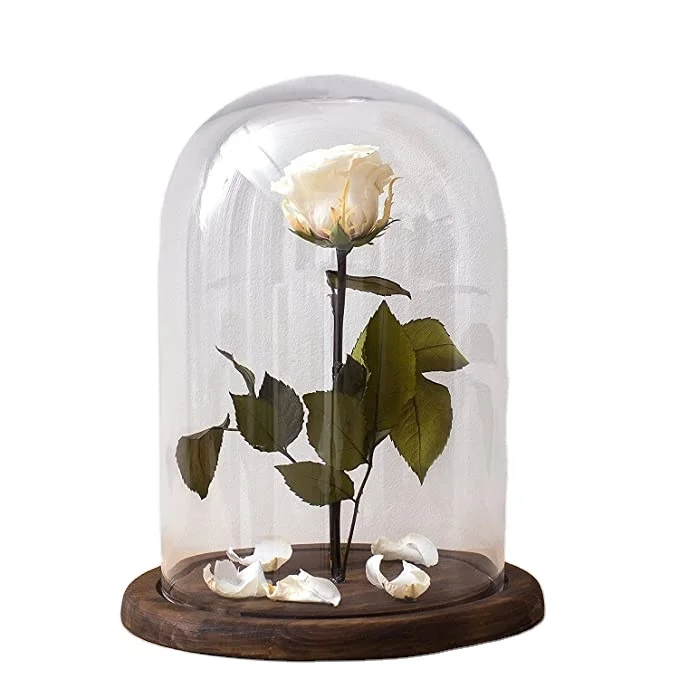 Стеклянный купол с основанием, большой стеклянный колокольчик, купол для дисплея