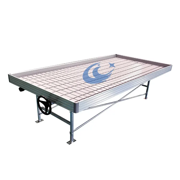 Hebei Chenchao Greenhouse Hydroponics System Rolling Bench Ebb and Flow Planting Table for Sale