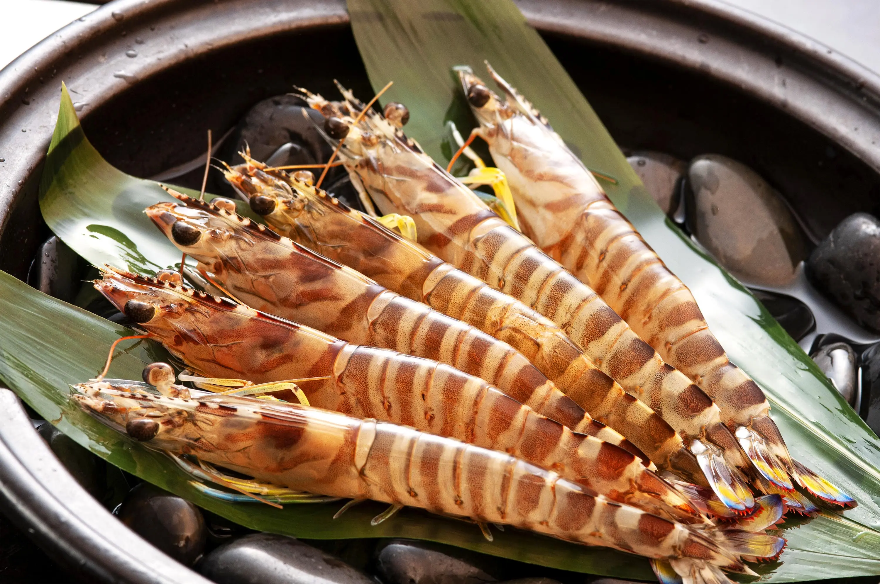 Оптовая продажа японские Гигантские Черные Тигровые креветки в вакуумной упаковке и быстрое замораживание