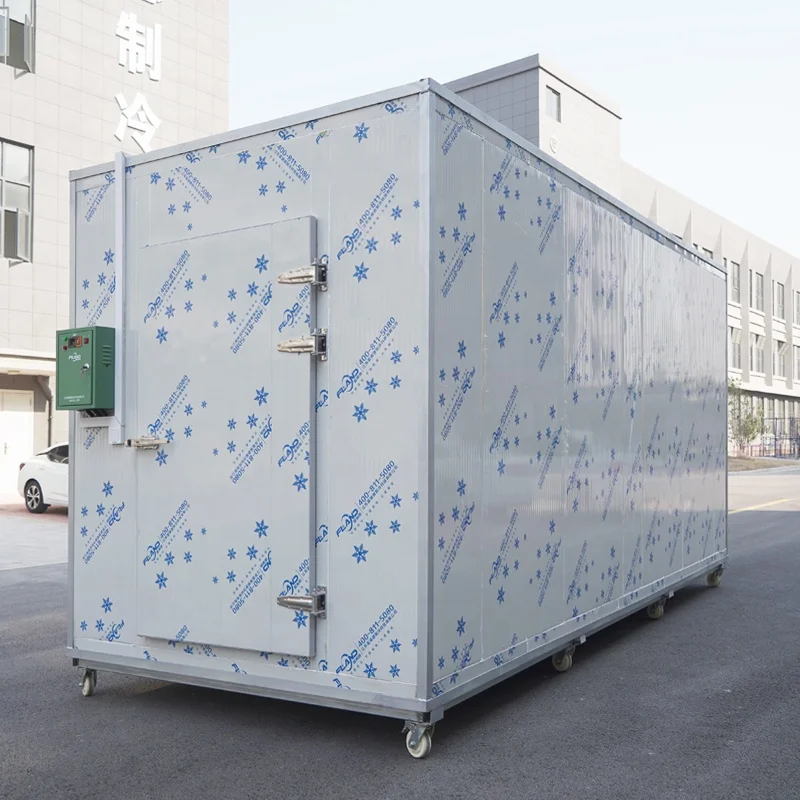 Walk in Chiller Cold Room Manufacturer Cold Storage Freezer Room with Refrigeration Equipment