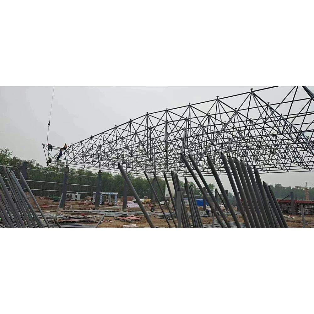 New Design and Structural Optimization of Long-Span Steel Space Frame Systems for Modern Aircraft Hangars