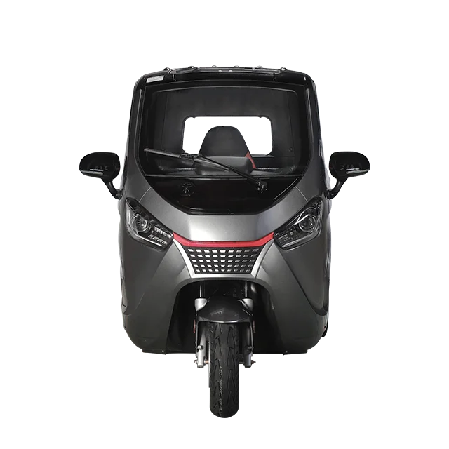 High Quality  Best Sales Mobility All Terrain High Speed electric adult tricycle Cheap cargo electric tricycle