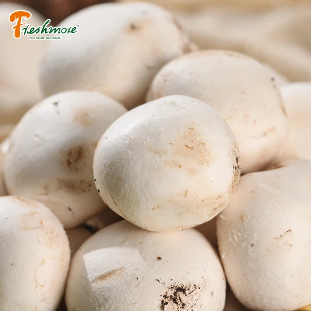 Finc grow spaw  agriculture mushroom fresh cottage white mushroom