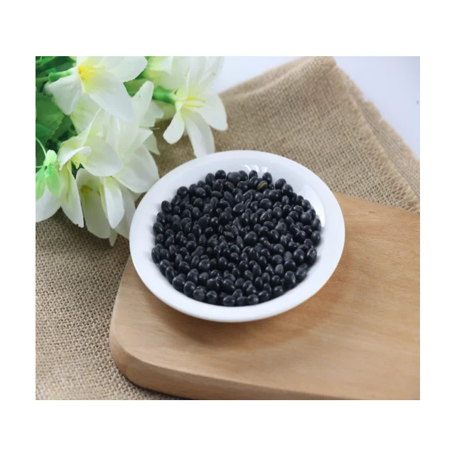 Chinese Common Cultivation Black Soya Beans for Sale