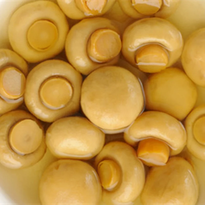 Factory Price Canned Mushroom Whole Mushroom can