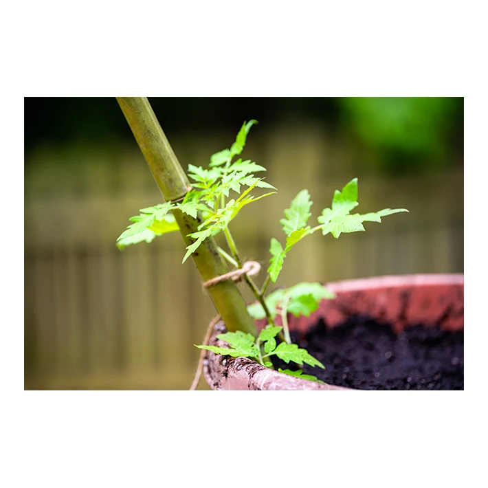 Japan quality garden tools hemp-palm with outstanding and beautiful design