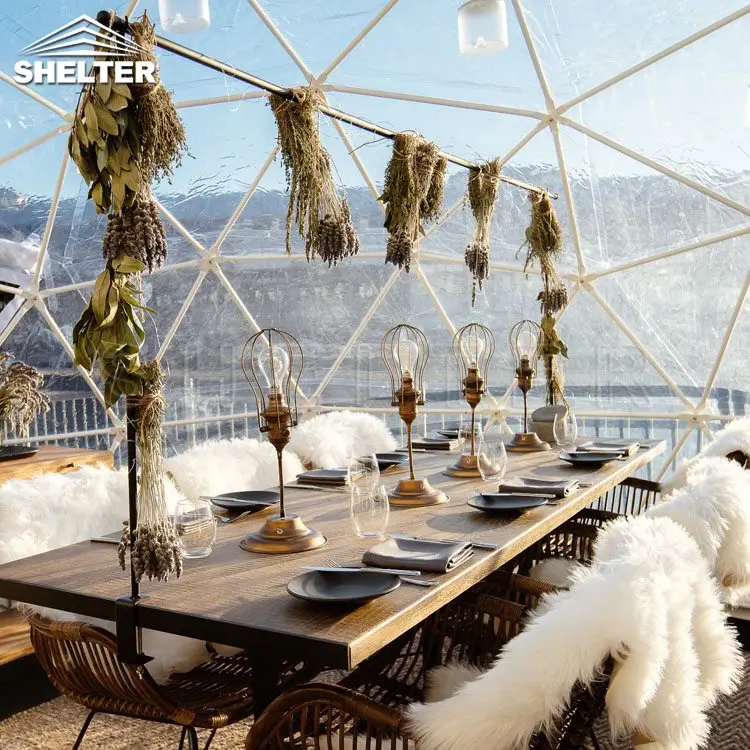 4m 5m Outdoor Transparent Garden Balcony Greenhouse Shed Geodesic Dome Bubble Igloo Tent For Sale