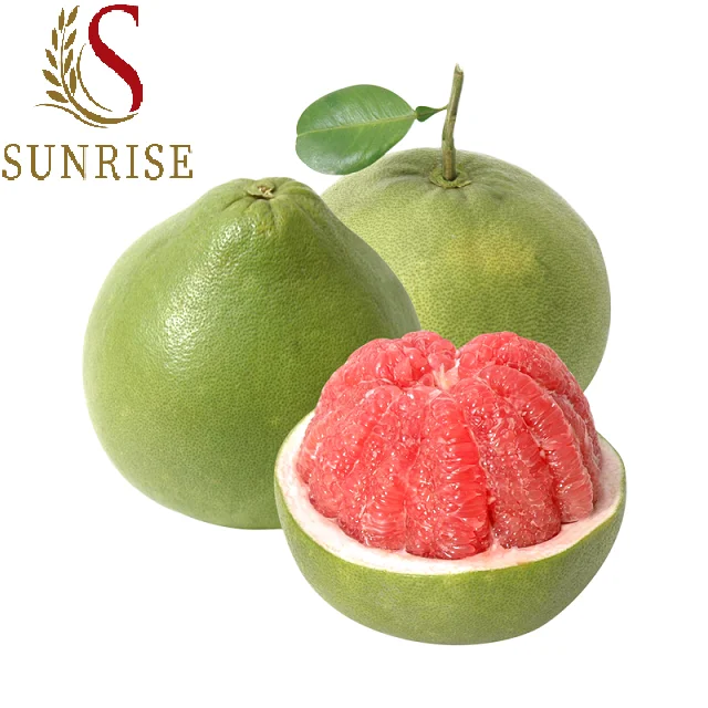 Fresh Grapefruit Pomelo Citrus Fruits (Green skin, pink flesh) Tropical Fruit Export From Vietnam- Whatsap 0084989322607