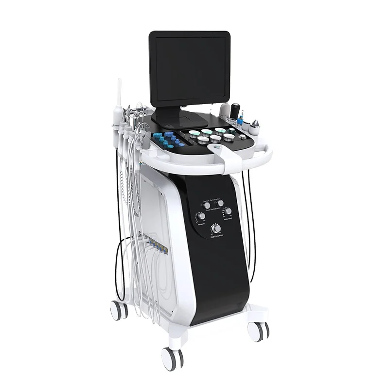 2023 Hot Sale 14 In 1 Facial Machine Microcurrent Facial Machine Hydra Dermabrasion Machine from sea heart