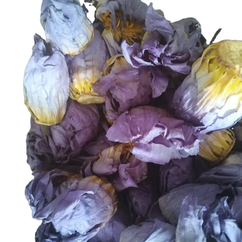 
Fragrant bake Dried blue lotus tea Nymphaea calliantha Conard flowers 